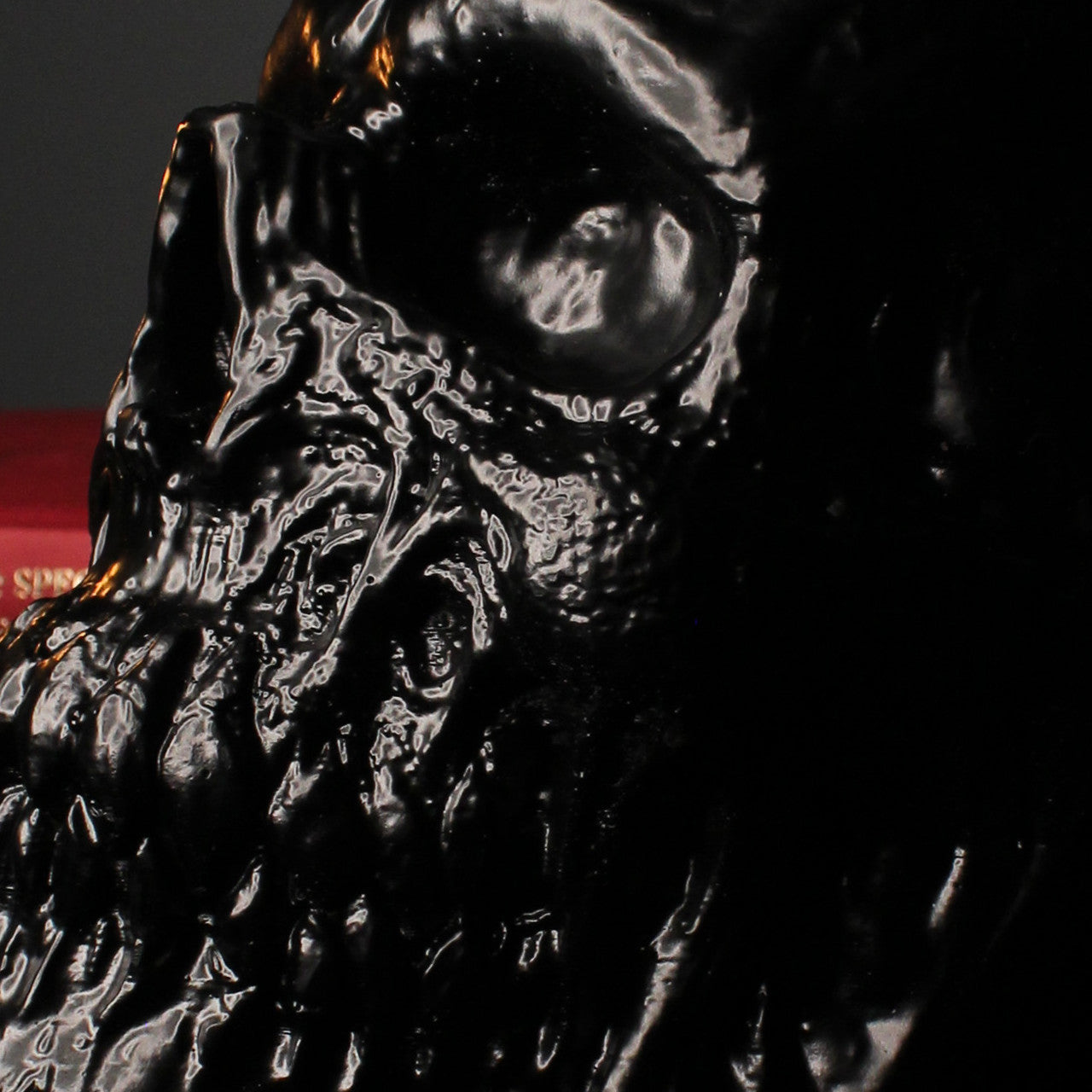 Branwen Life Sized Skull Ornament