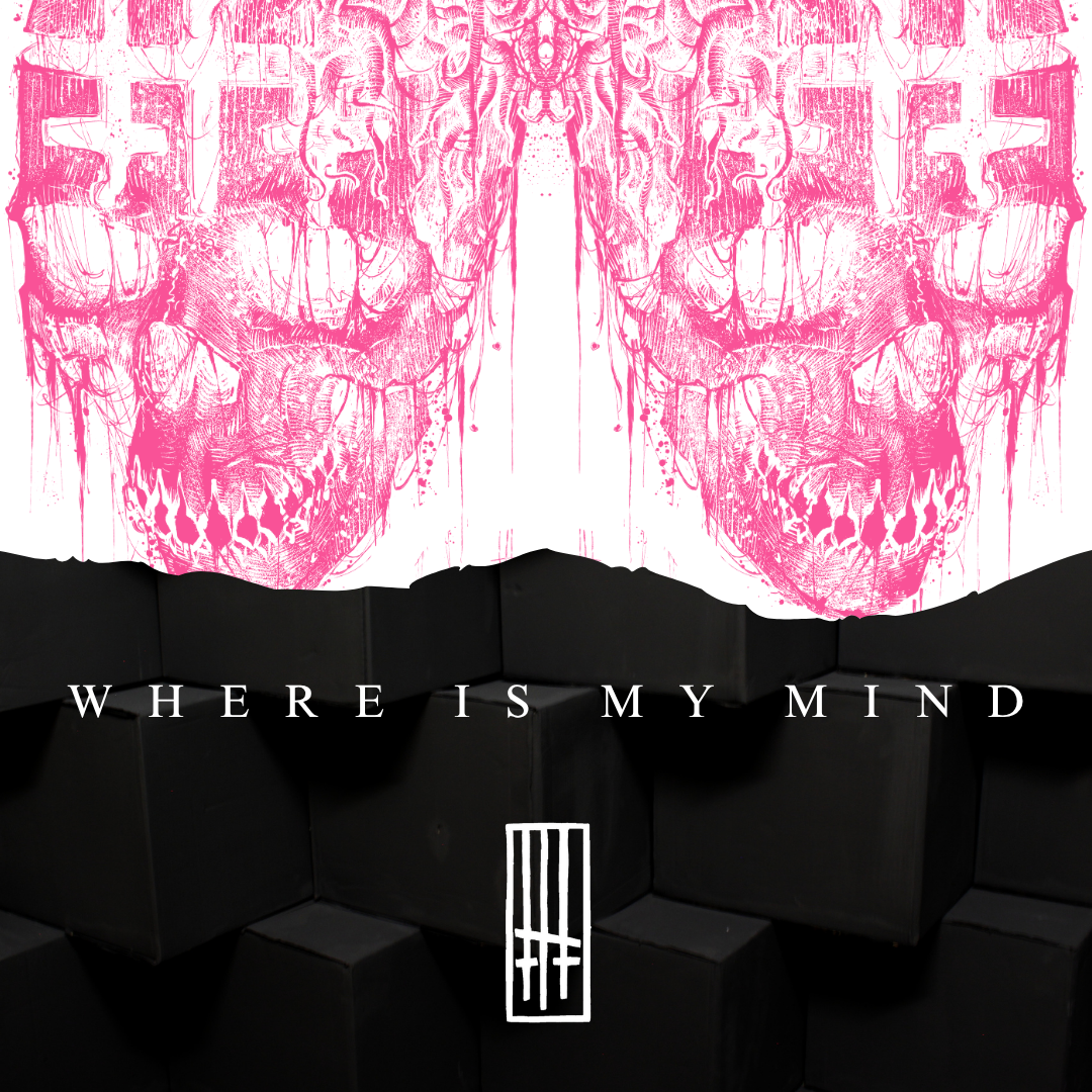 Where Is My Mind