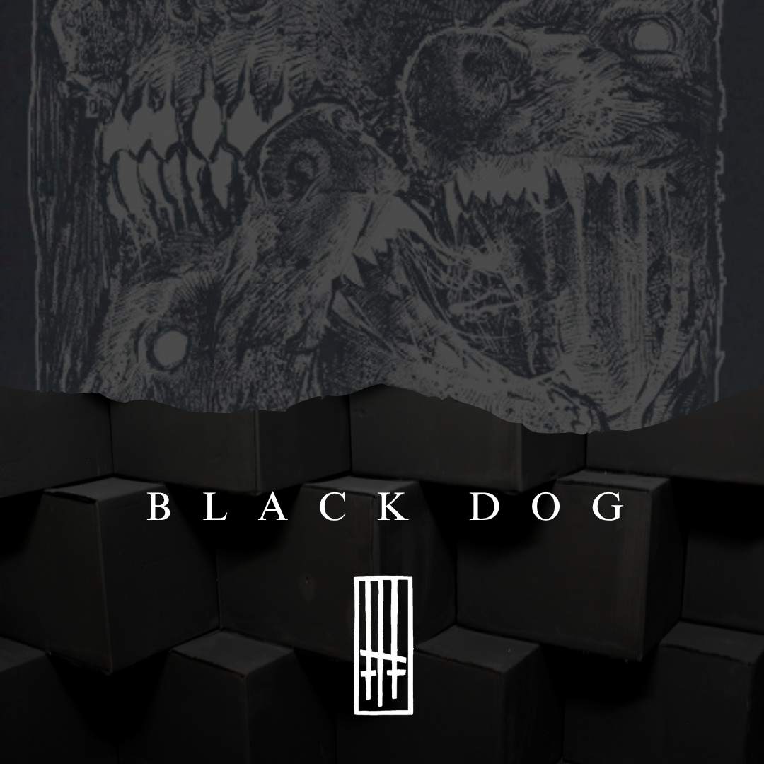 Black Dog