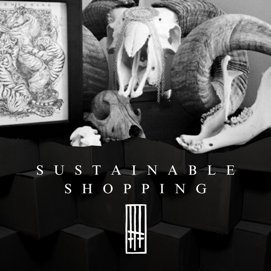 Sustainable Shopping 💚