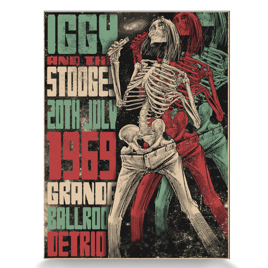 Iggy & the Stooges Detroit 1969: Regular Edition